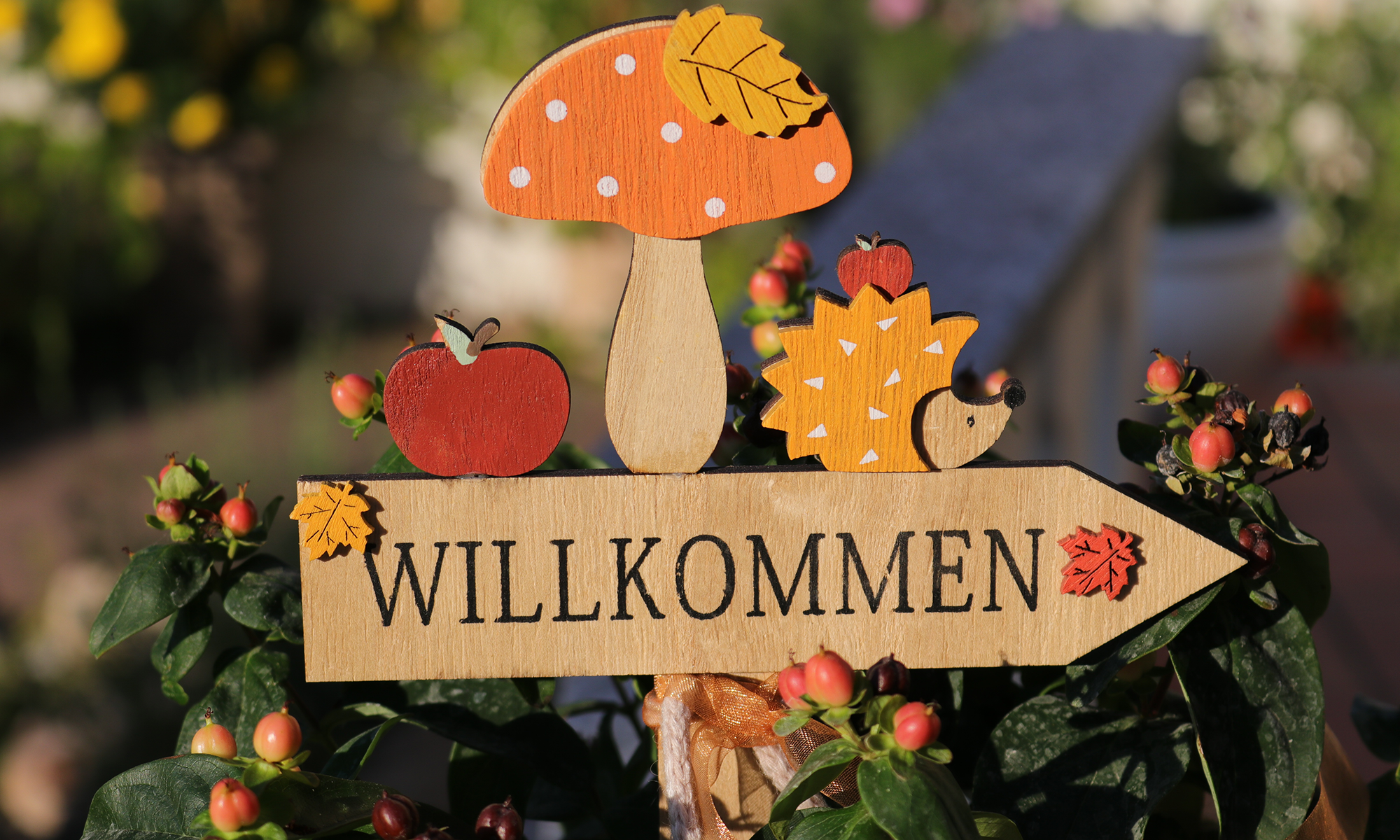 Wir heißen alle Besucher des Regionalverbandes Mecklenburgische Seenplatte Willkommen.